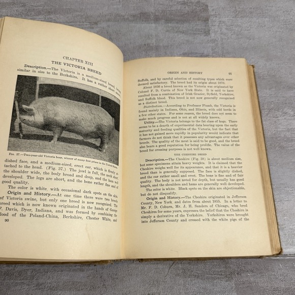Lippincott's Farm Manuals Productive Swine Husbandry G. E.‎ Day 1913 Pigs Book - Picture 6 of 16